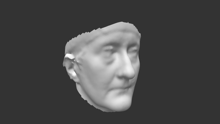0 AMC Rescan Serious Face 3D Model