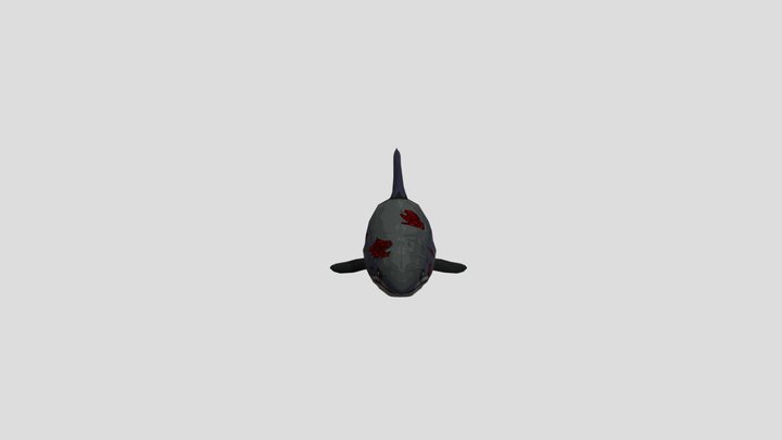Shark 3D Model