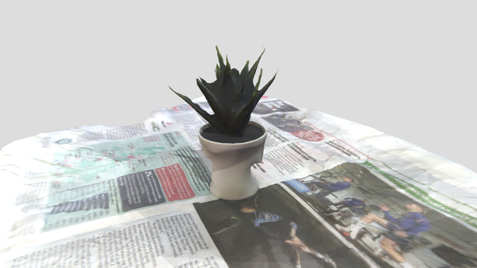 Plant-01