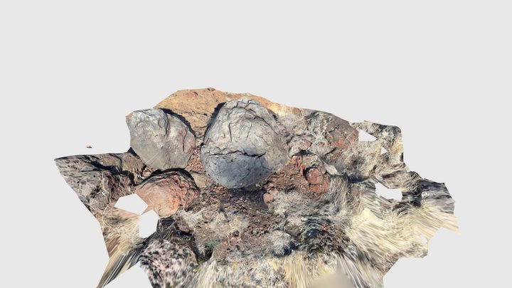 Ridge Ruins site Petroglyph 3D Model