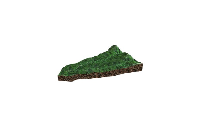 Mului Customary Forest 3D Model