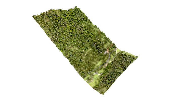 Aerolevantamento - FRK 3D Model
