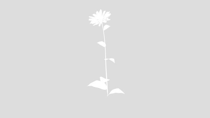 White Flower – Modelo 3D gratuito STL