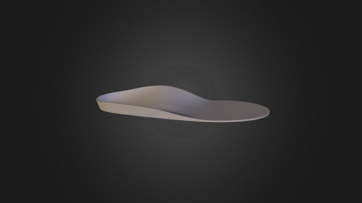 Right Foot Insole 3D Model
