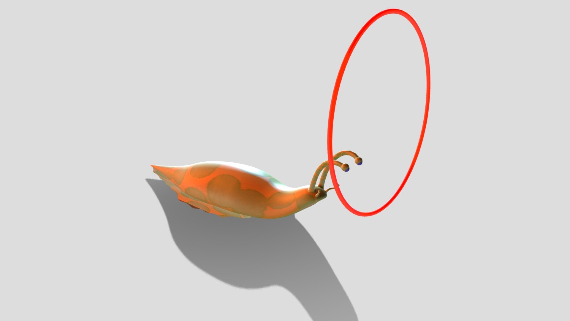 Snail-&-hoop