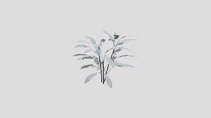 Heliconia Lobster Claw Plant Large – Gratis 3D-model STL