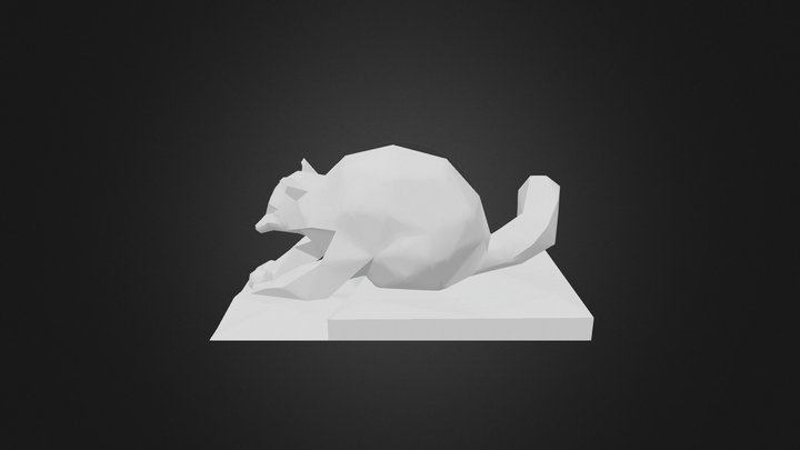 Racoon Test2 3D Model