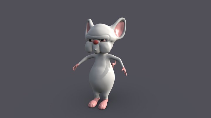 cerebro 3D Model