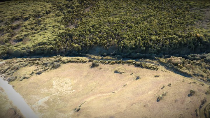 Pine forest, meadow and rill – Gratis 3D-model STL