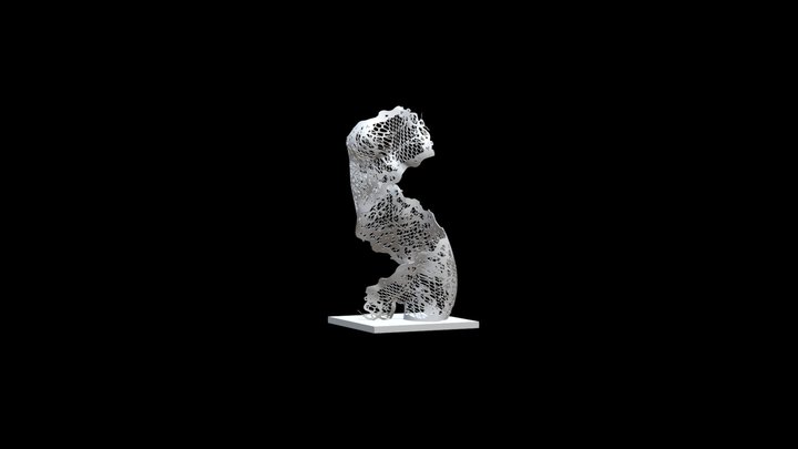 Dentelle 3D Model