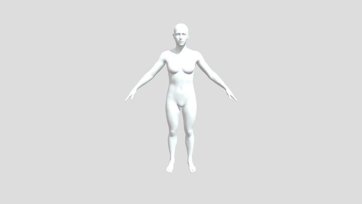 Base Mesh 3D Model