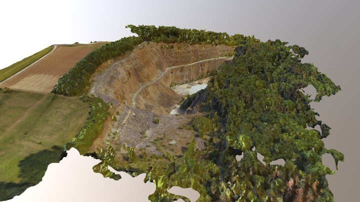 Abandoned quarry (3D Drone Scan) 3D Model