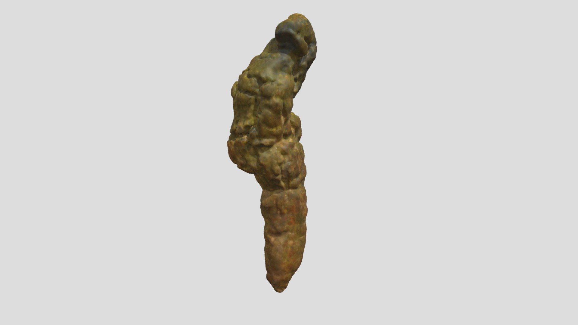 Miocene Turtle Coprolite (VCU_3D_6946) - Download Free 3D model by ...