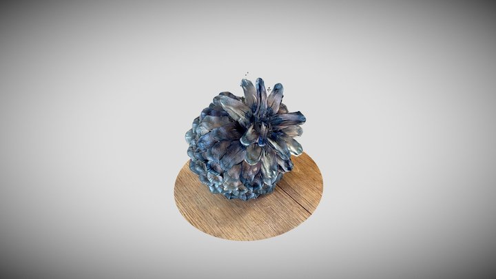 pinecone 3D Model