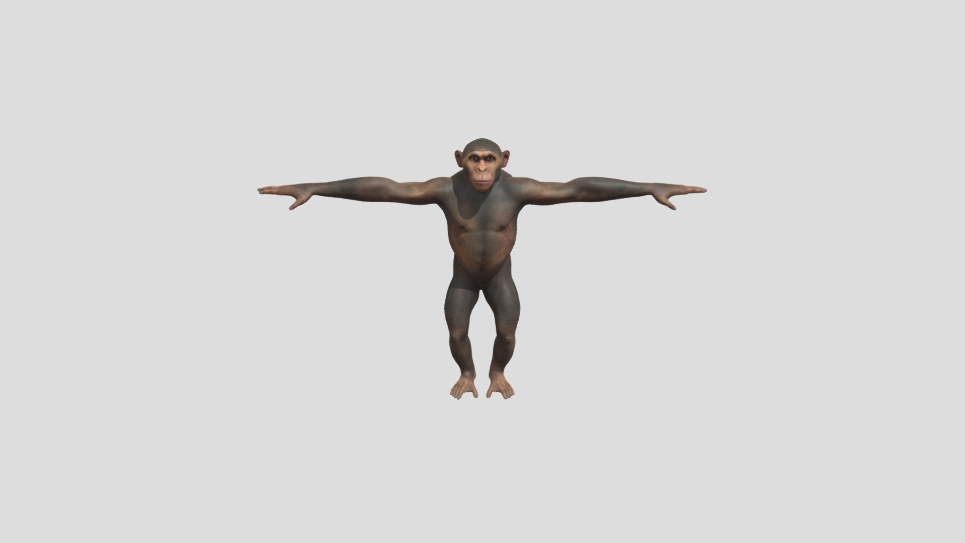 Monkey - Download Free 3D model by 3D by Renato👽 (@3dbyrenato) [5ab0bb8 ...