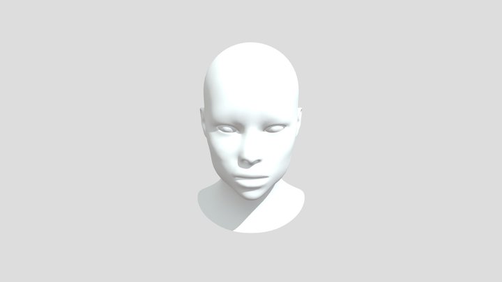 Head 3D Model
