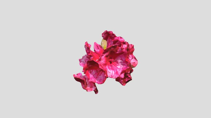 Rhododendron red Kiri with mask – Modèle 3D gratuit STL