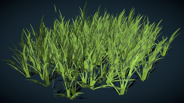 Grass 01 3D Model