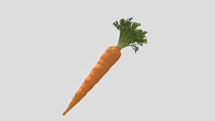 Carrot