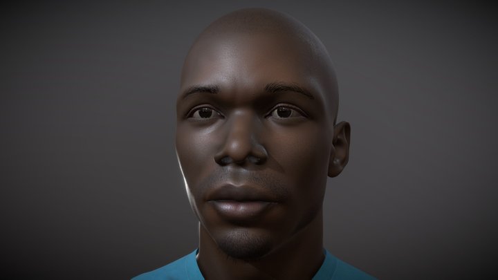 Head PBR Test 3D Model