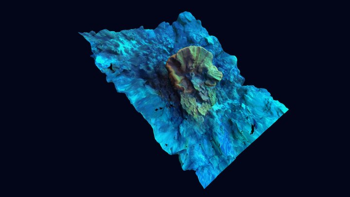 Elephant Ear Sponge 3D Model