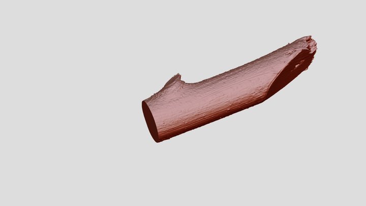 Scanning Batang Kayu 3D Model