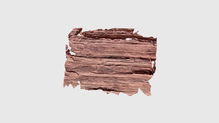Chinle Long Canyon4 3D Model