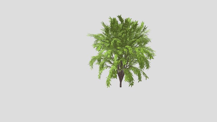 Tree for games (Free) 3D Model