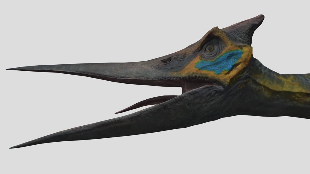 Pteranodon 2015E
