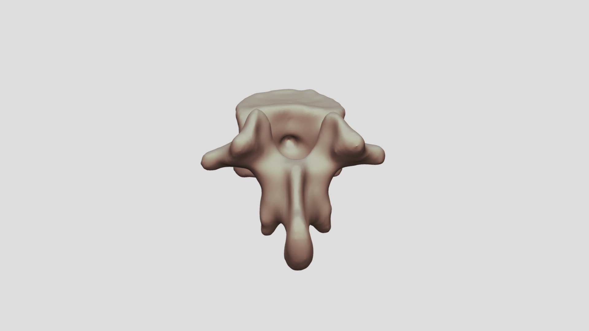 L1 Vertebra