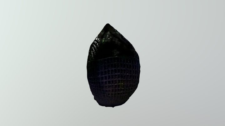 New Qlone 3D Model