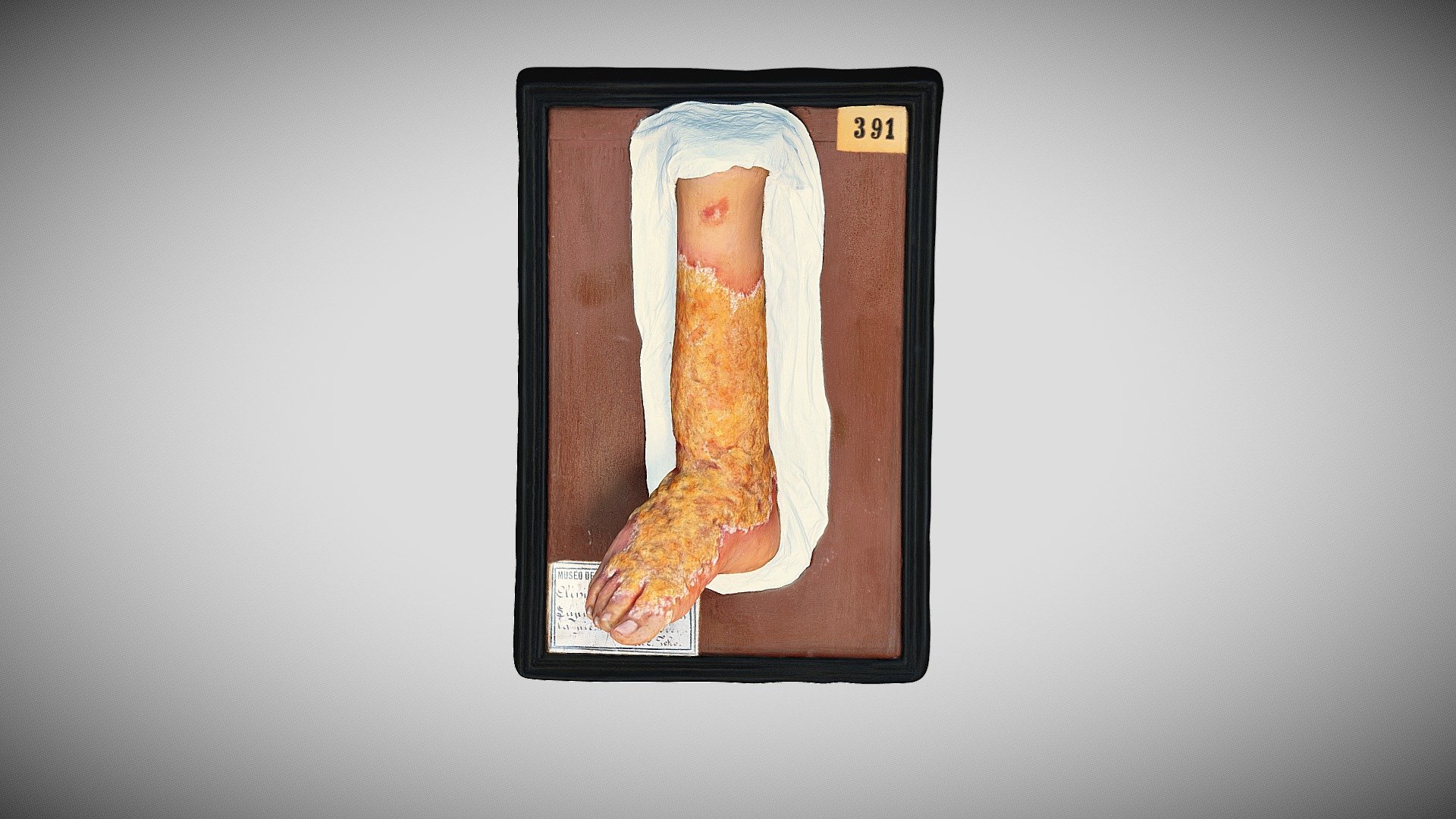 404 - 281 — Sketchfab embed 3D viewer