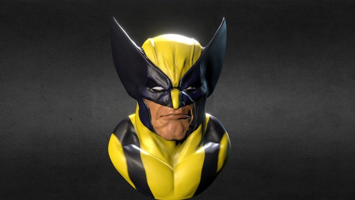 Wolverine test 123D+ iPad Pro 3D Model