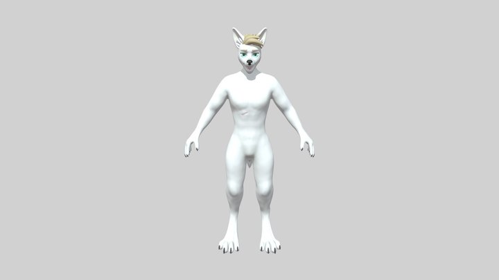 Wolf model 3D Model