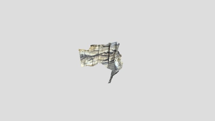 Profile 3D Model