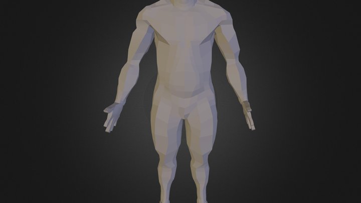 3DAN305_Full Body Mesh 3D Model