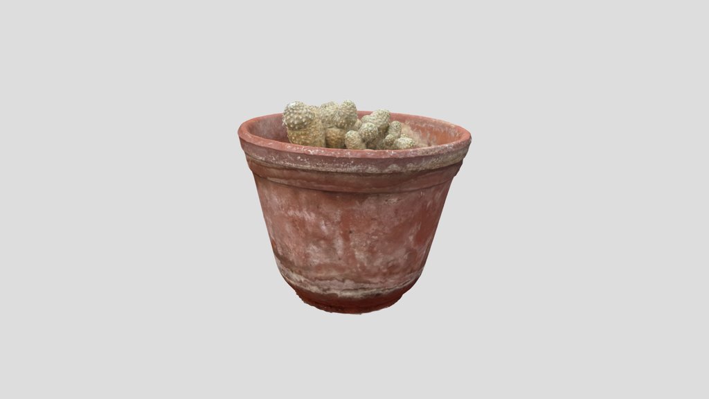 Plant Pot