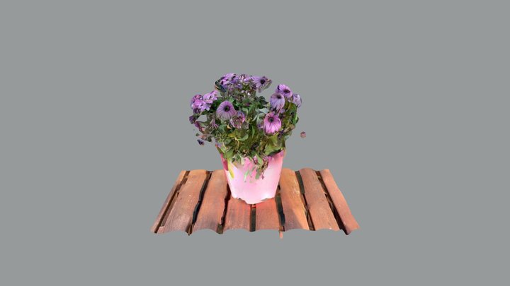 Blommen 3D Model