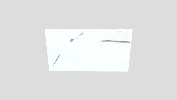 長野型① 3D Model