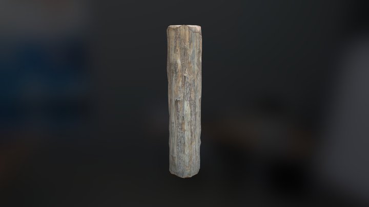 Log-wd-001