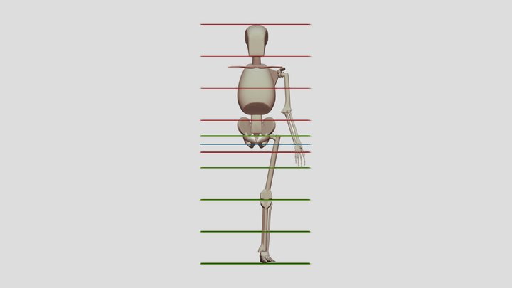 Massing Skeleton With Measure Guides 3D Model