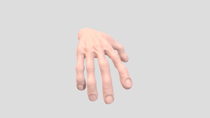 Old Hand 3D Model
