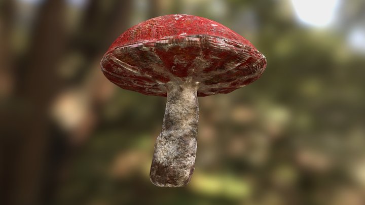 GART DR MUSHROOM 03 TEXTURED 3D Model