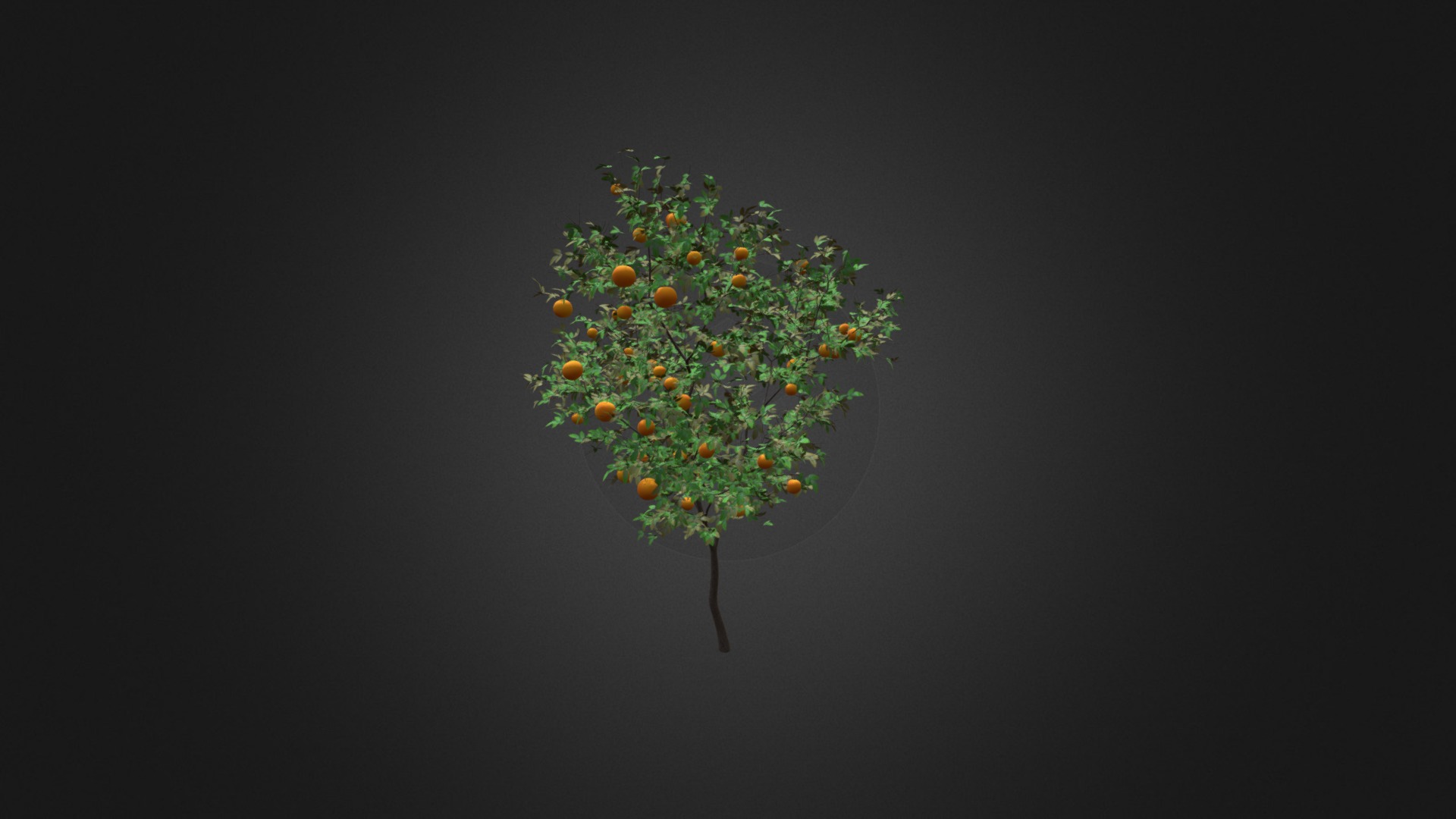 3D model Orange Tree with Fruits 3D Model 3.4m - This is a 3D model of the Orange Tree with Fruits 3D Model 3.4m. The 3D model is about a tree with oranges.