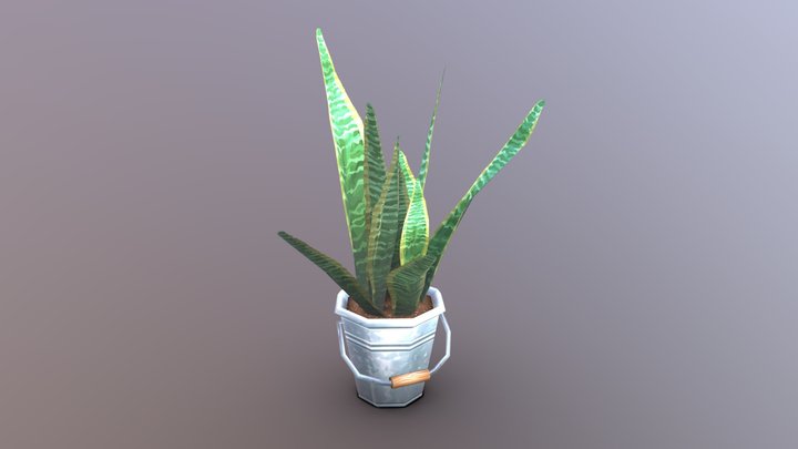 Snake Plant 3D Model