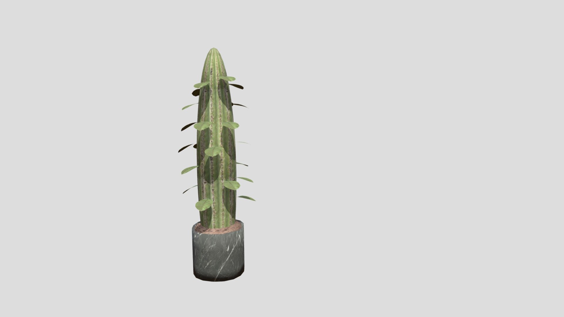 Cactus Plant (2) — Sketchfab embed 3D viewer