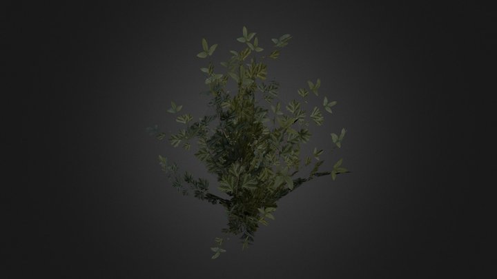 Bush 3D Model