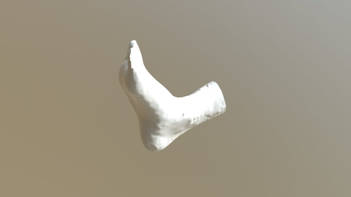 my foot 3D Model