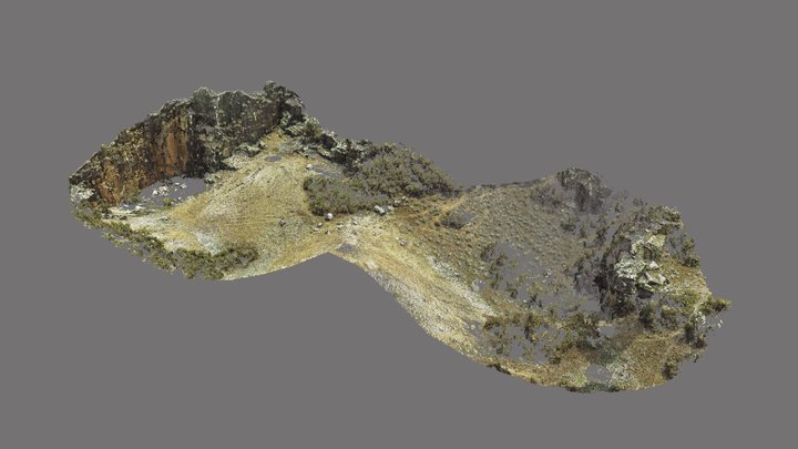 AF9H 3D Model