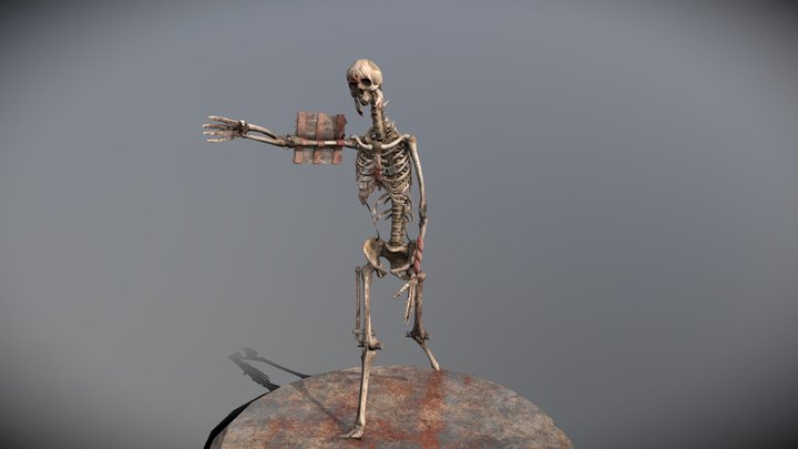 Skeleton 3D Model